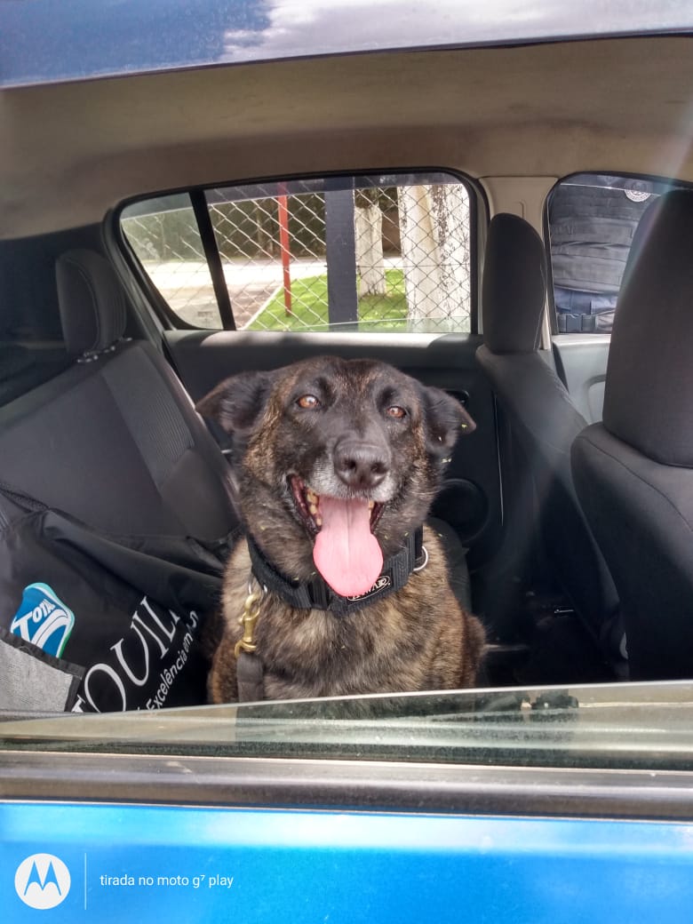 ad4922de-4ae7-48c6-9d36-63c7574a312f