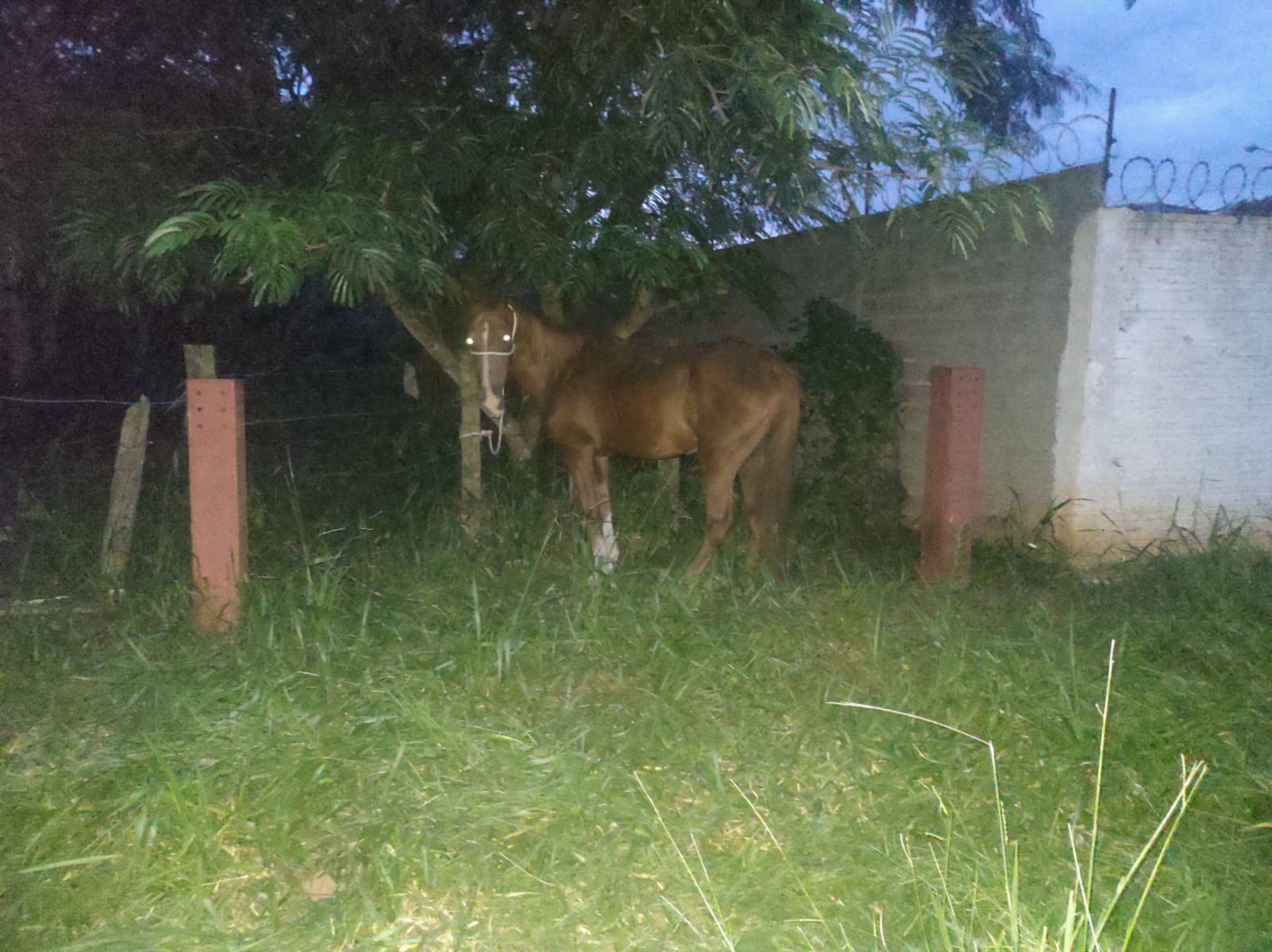 edab33e2-5e02-4ccd-b2cf-28383f493e93