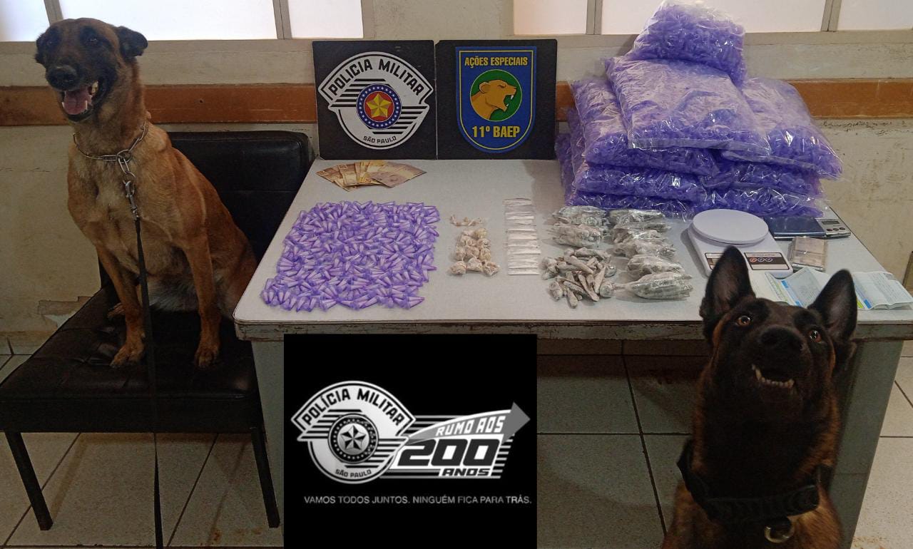 d7e9dc97-56da-4238-b6fa-e9566c5995bb