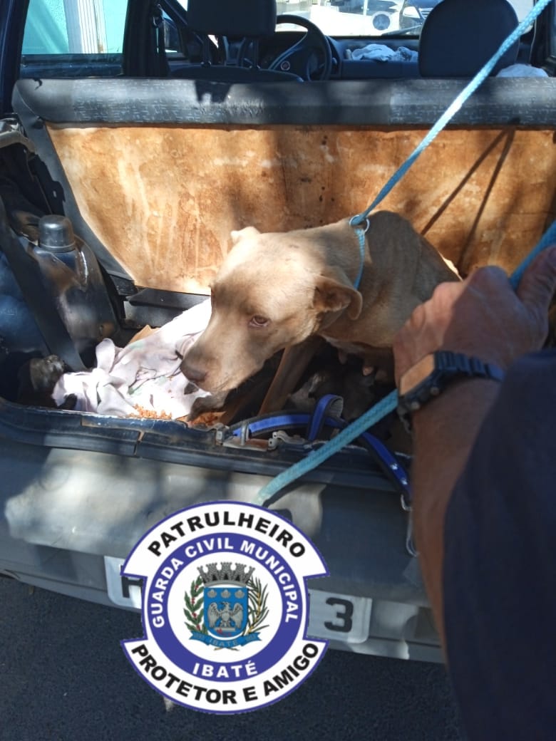 80858cdf-aac5-4802-80b8-733188a5213e