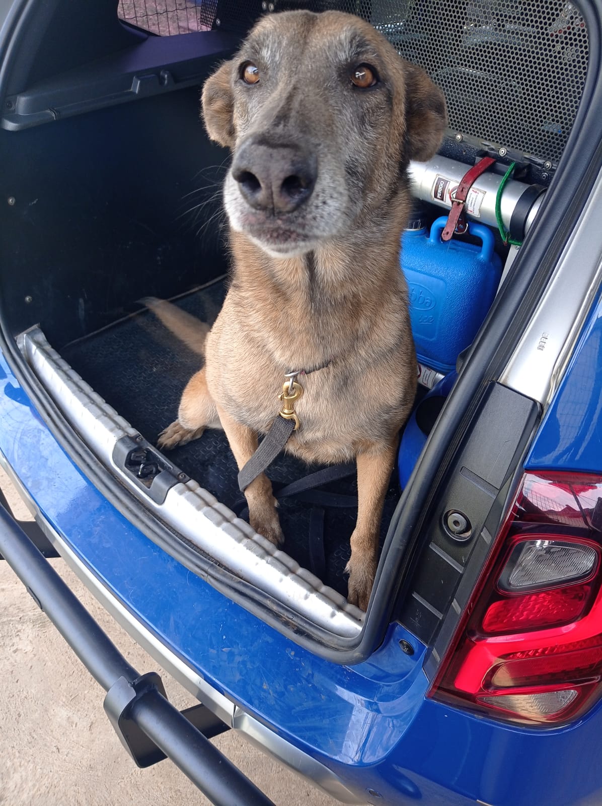 bc99b0f1-ee4e-4780-9cc3-56a888f8ad00