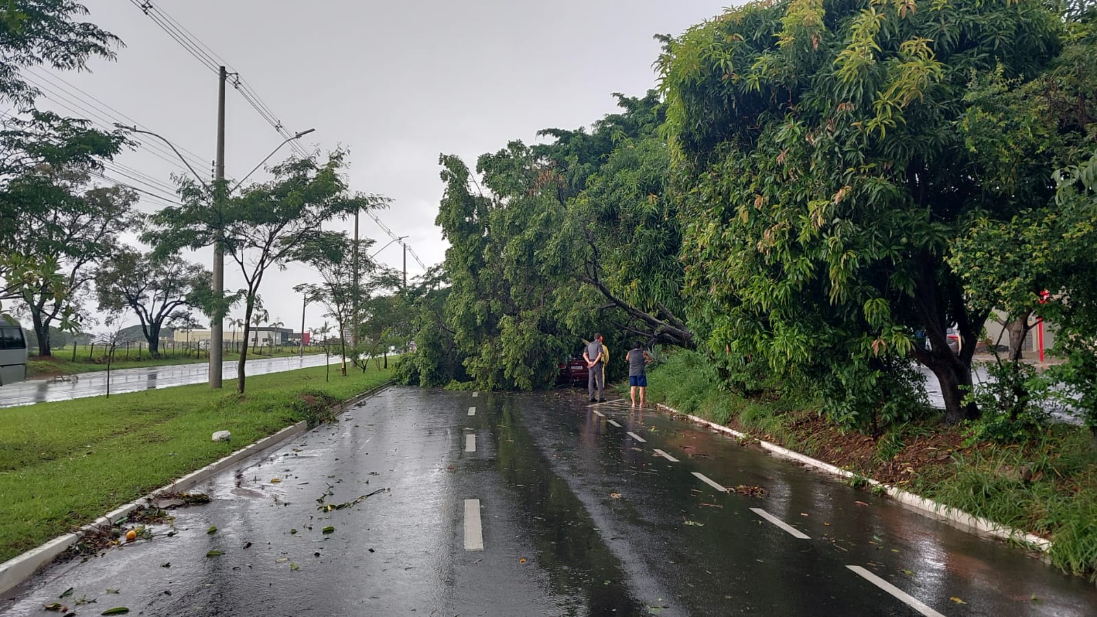 92540867-e264-4379-a18d-4c87b9b590b4