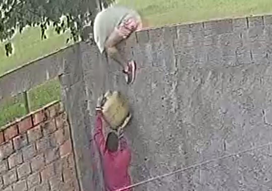 9d9f1c07-cf63-4421-b17c-57579d105467