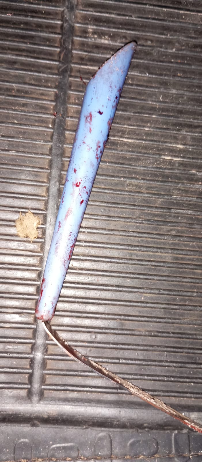 38bacd15-2785-44ae-bac6-66f3ef2108dc