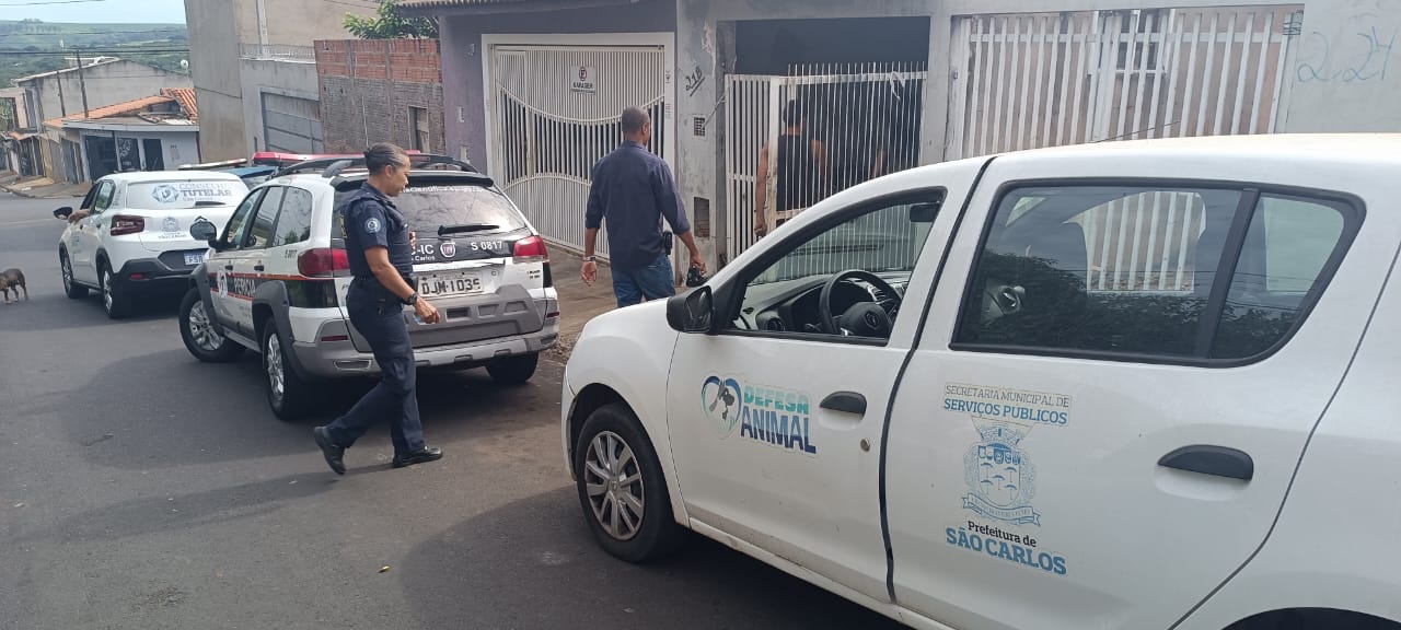 2dd528c6-1182-4853-ad0d-02ccfaac3290