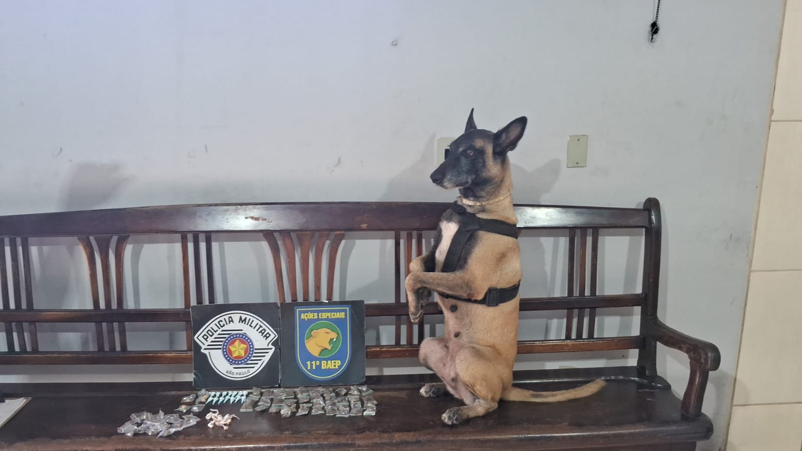 6c91a964-b0e9-42c7-b931-e3420b6edeac