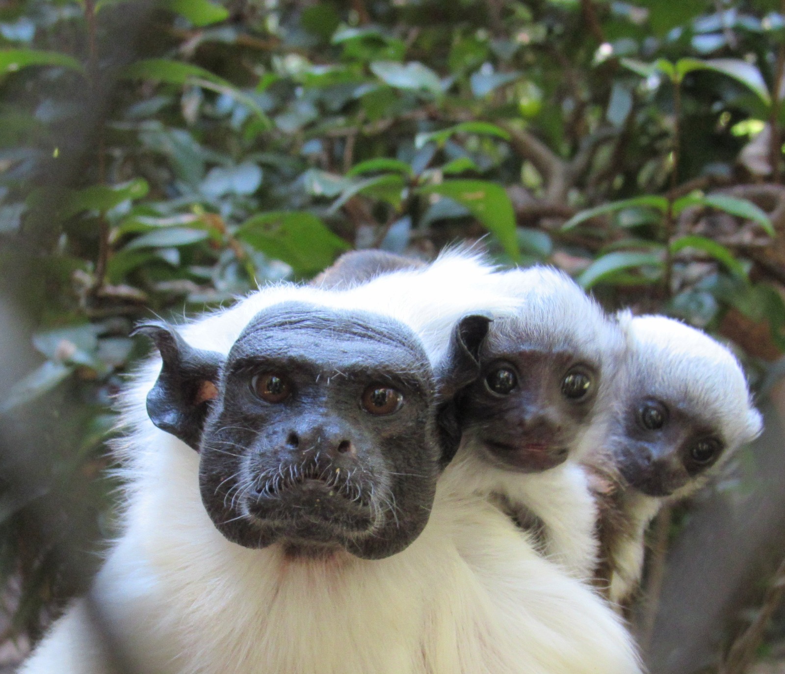 724375d5-cac6-4602-816a-95f2b30406d3