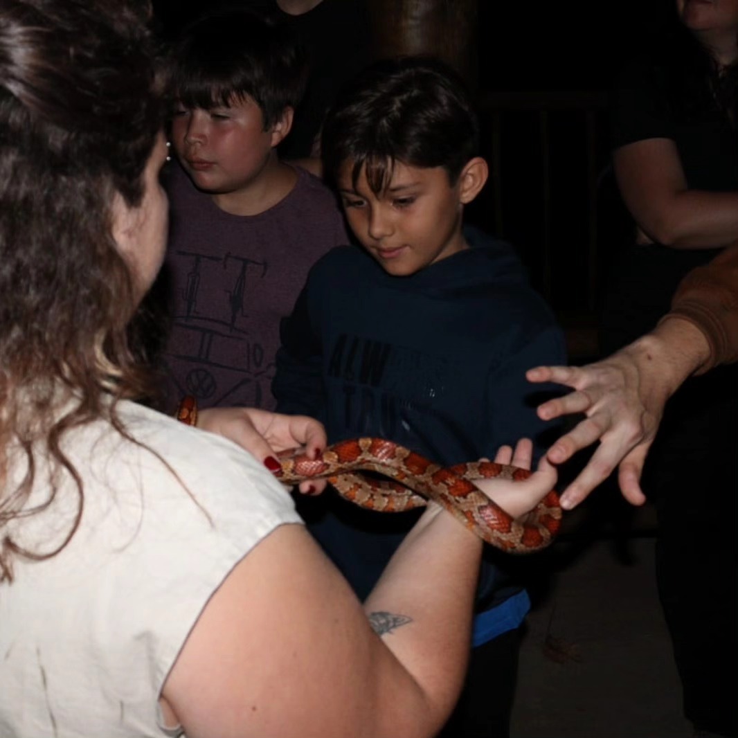 9303f68a-4f0f-48d6-88e9-dc2bf23a342e