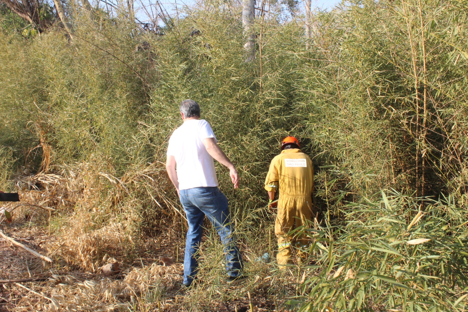 519e2edd-9e40-4896-9240-194adf25ceef