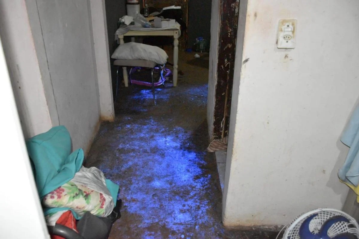 ced540f7-1ff8-4a57-ad8d-9571af3f2612