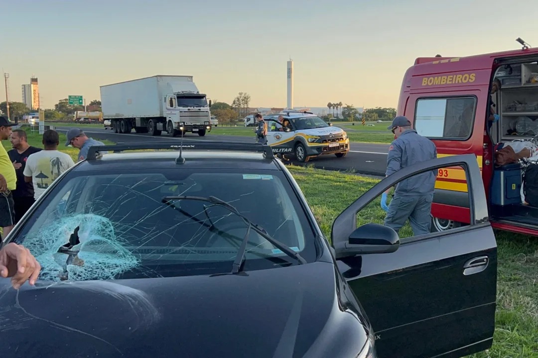 d66ae0aa-5878-4420-8f84-7fb093725629