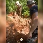 Corpos são encontrados em mata e revelam cemitério clandestino