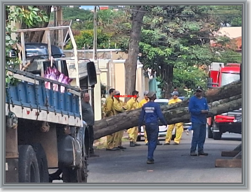 sized_b83c7b78-c66a-4992-adb3-b7fb76ff289b