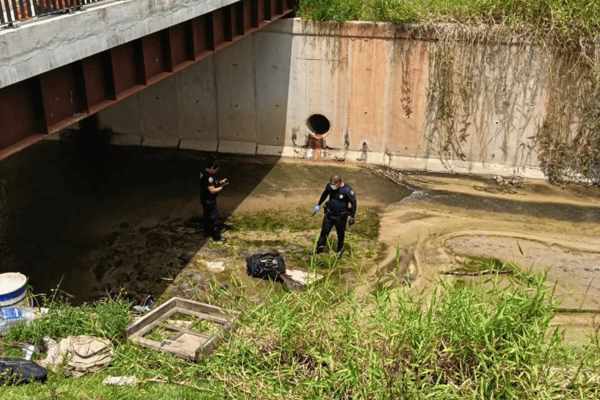 5b82de02-29e2-4f1b-9100-2858c9a9b5ca