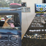 GM detém traficante no bairro Santa Angelina