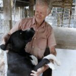 Motocão: evento promete unir diversão e solidariedade em São Carlos em prol dos animais