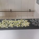 PM prende traficante no bairro Jóquei CLube