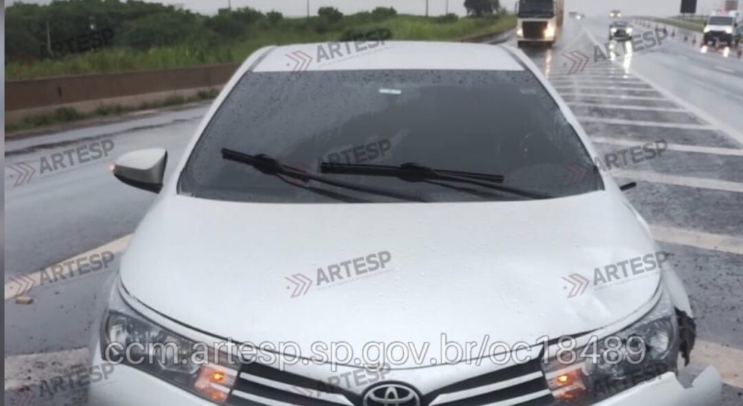 7d0dc28f-f6c3-4c87-a0ee-b279ccde707b