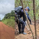 Irmãos são suspeitos de matar padrasto, decapitar cabeça e enterrar corpo, para vingar morte da mãe