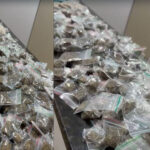 Força Tática prende traficante no bairro bairro Romeu Tortorelli