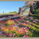 Caminhão carregado com macarrão tomba na Washington Luís e motorista fica preso nas ferragens