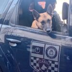 Casal é preso por tráfico no bairro Cidade Jardim