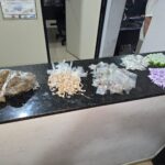 Trio é preso por tráfico no bairro Jóquei Clube
