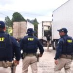 Batida entre caminhão e van deixa ao menos 8 mortos