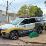 Mulheres são presas transportando 62 tijolos de droga
