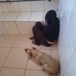 Cachorro prova que é fiel e permanece ao lado de mulher presa