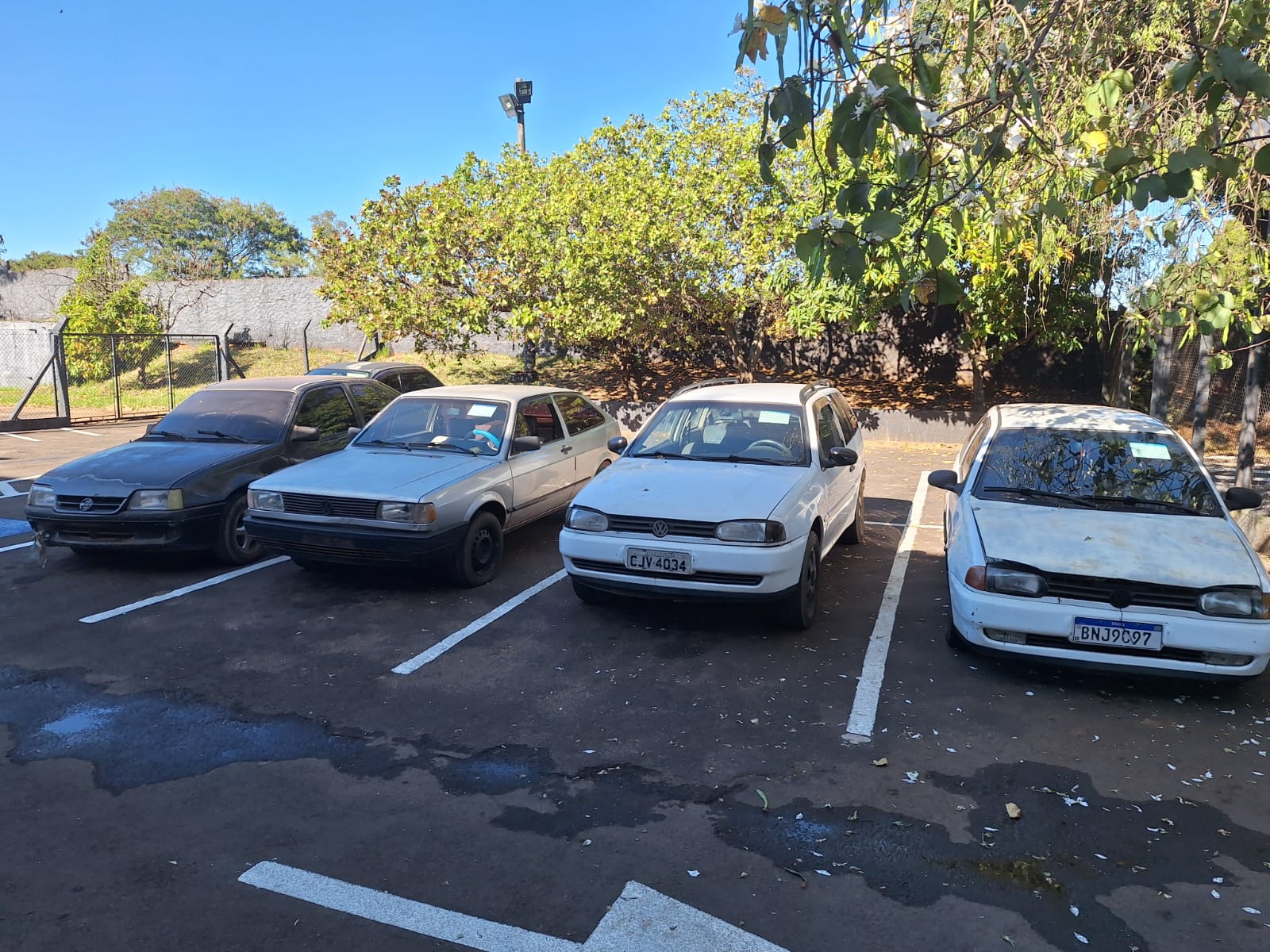 IMG-20260822-WA0012