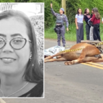 Motociclista de 48 anos morre após bater contra cavalo solto em rodovia